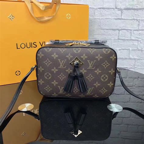 lv crossbody camera bag